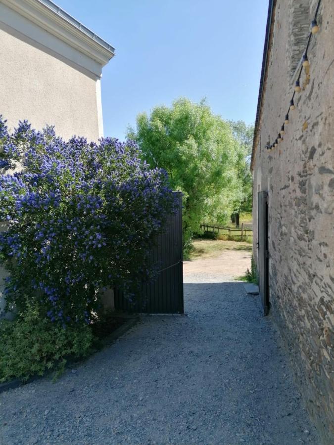 La Petite Boire - Chambres D'Hotes Pres D'Angers Murs-Erigne Esterno foto