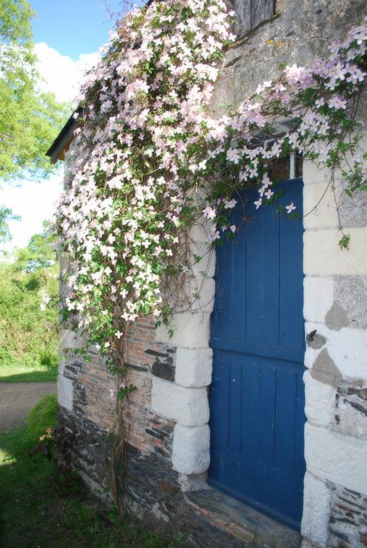 La Petite Boire - Chambres D'Hotes Pres D'Angers Murs-Erigne Esterno foto